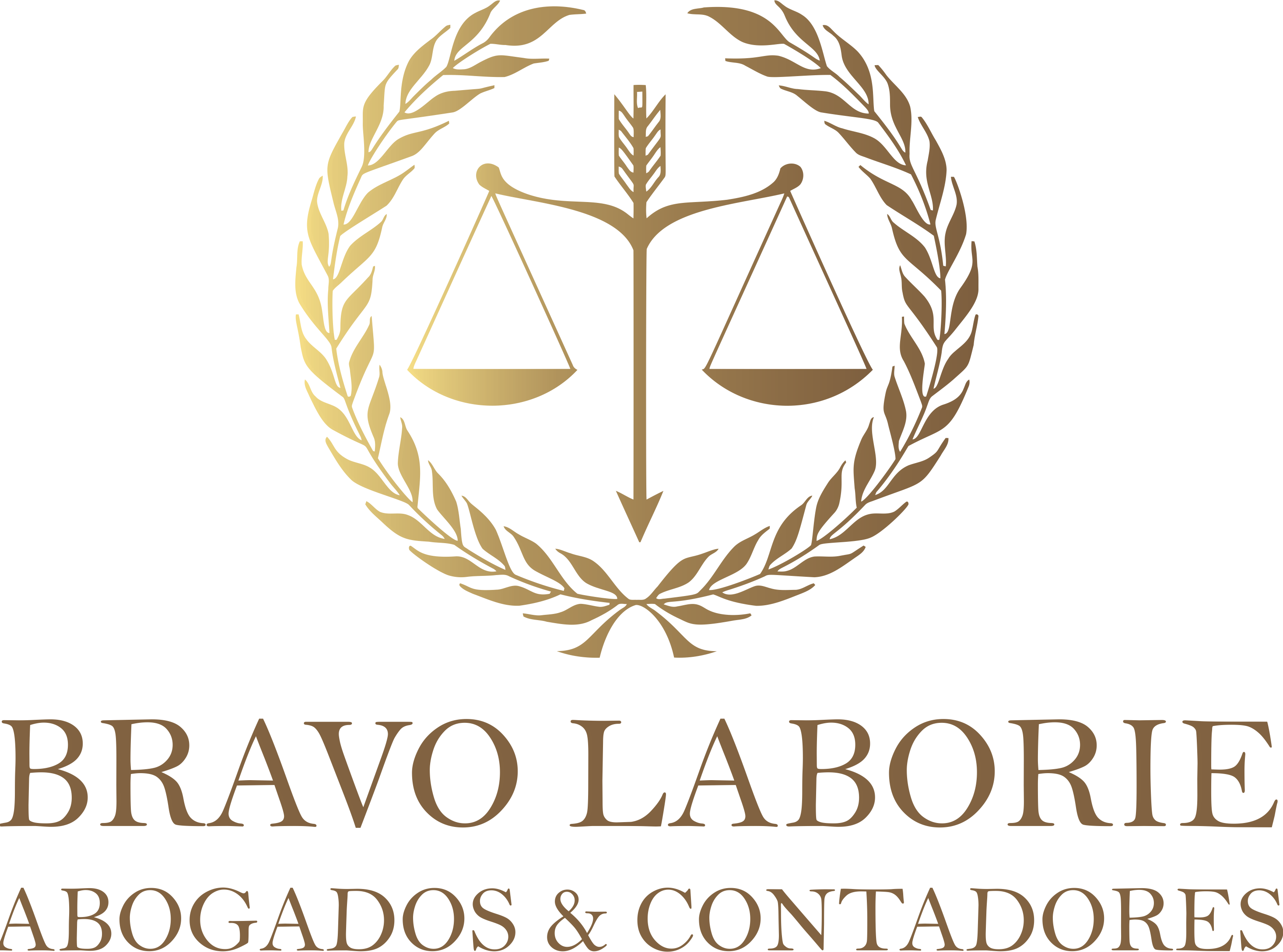 Bravo Laborie Abogados & contadores